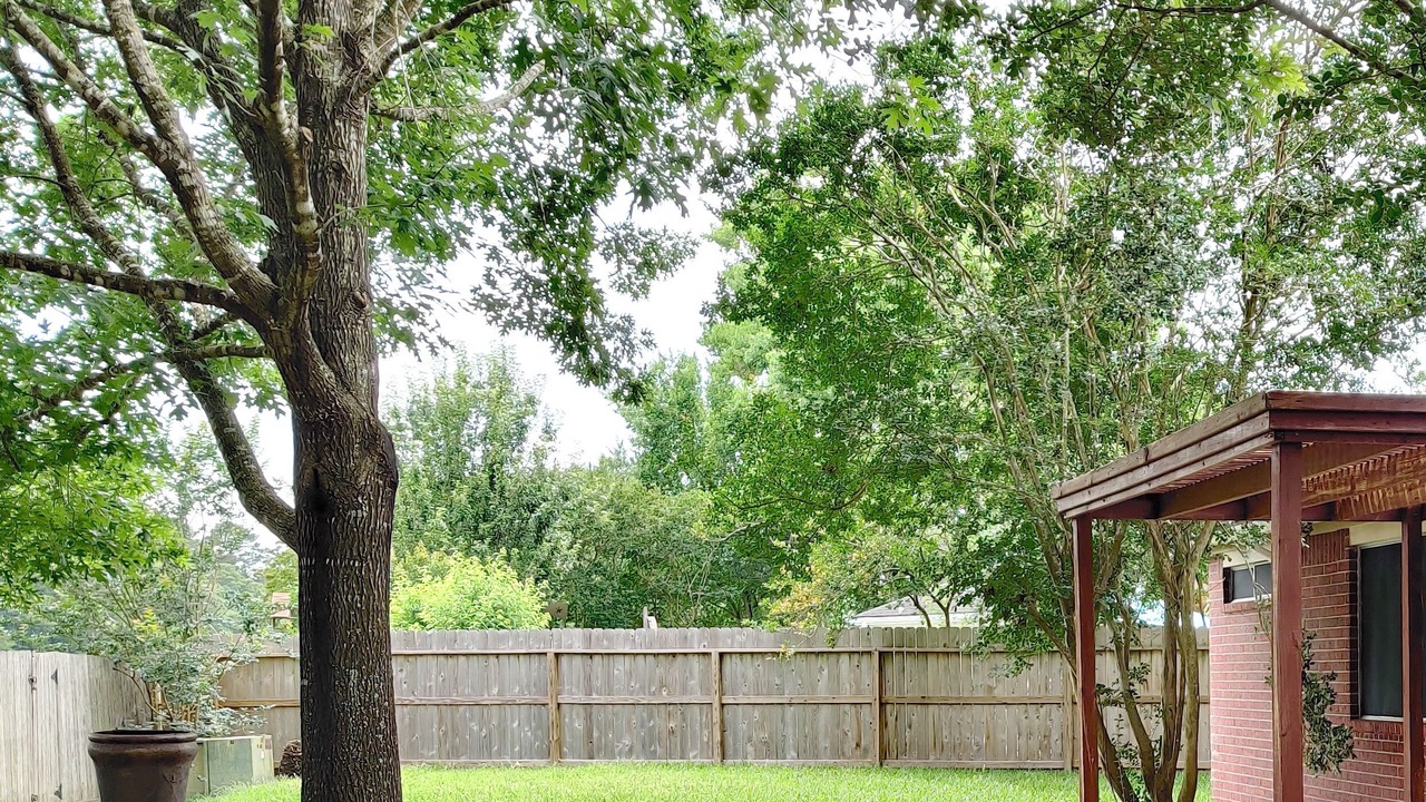 Photo of Outdoor in Spring