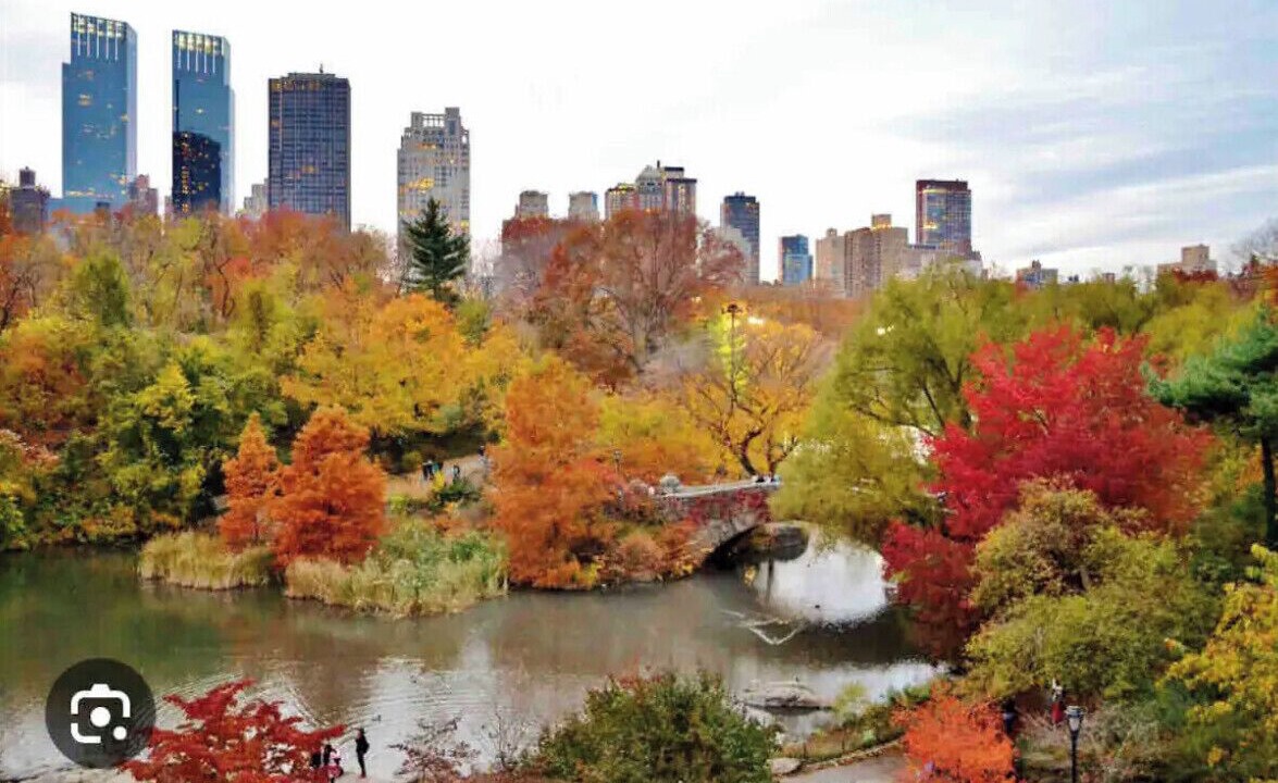 Photo of Others in Central Park North