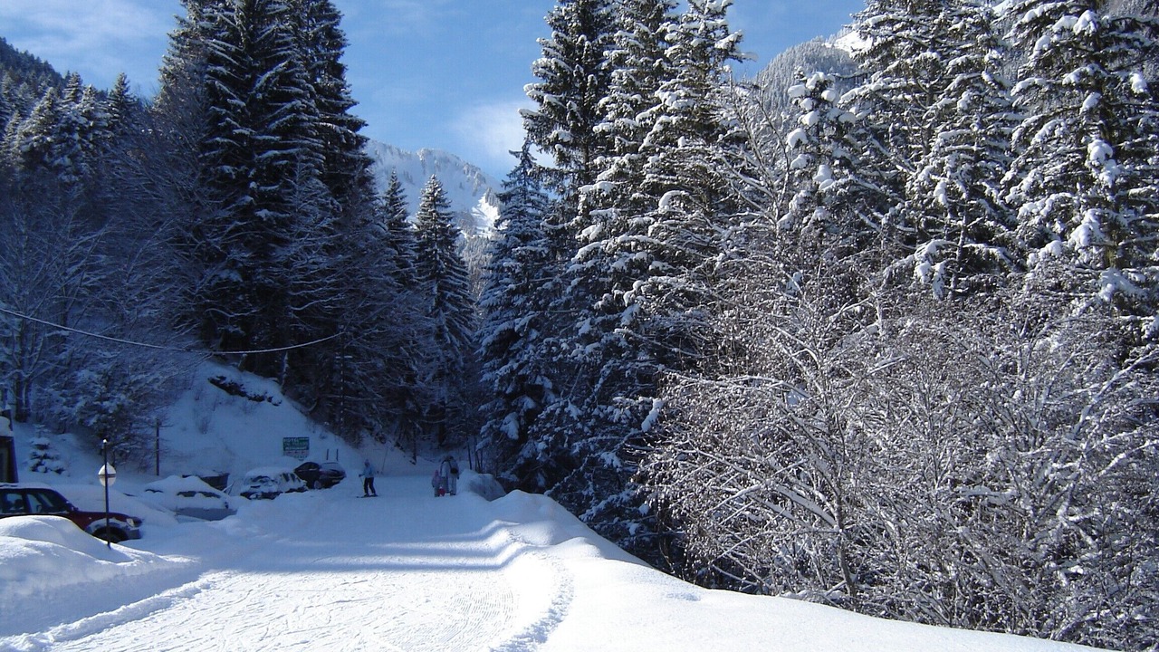 Photo of Others in Saint-Jean-dʼAulps
