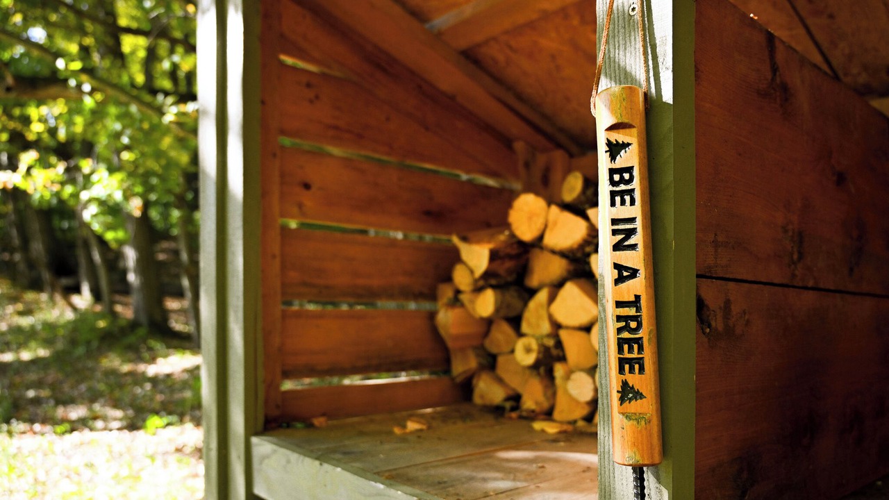 Photo of Others in Argyle