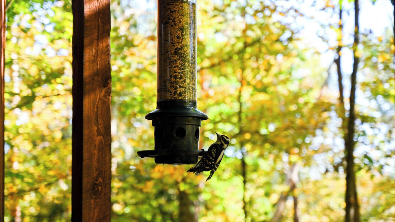 Photo of Others in Argyle