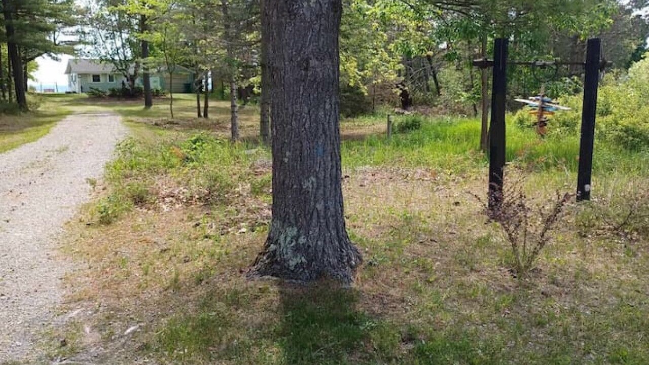 Photo of Outdoor in East Tawas