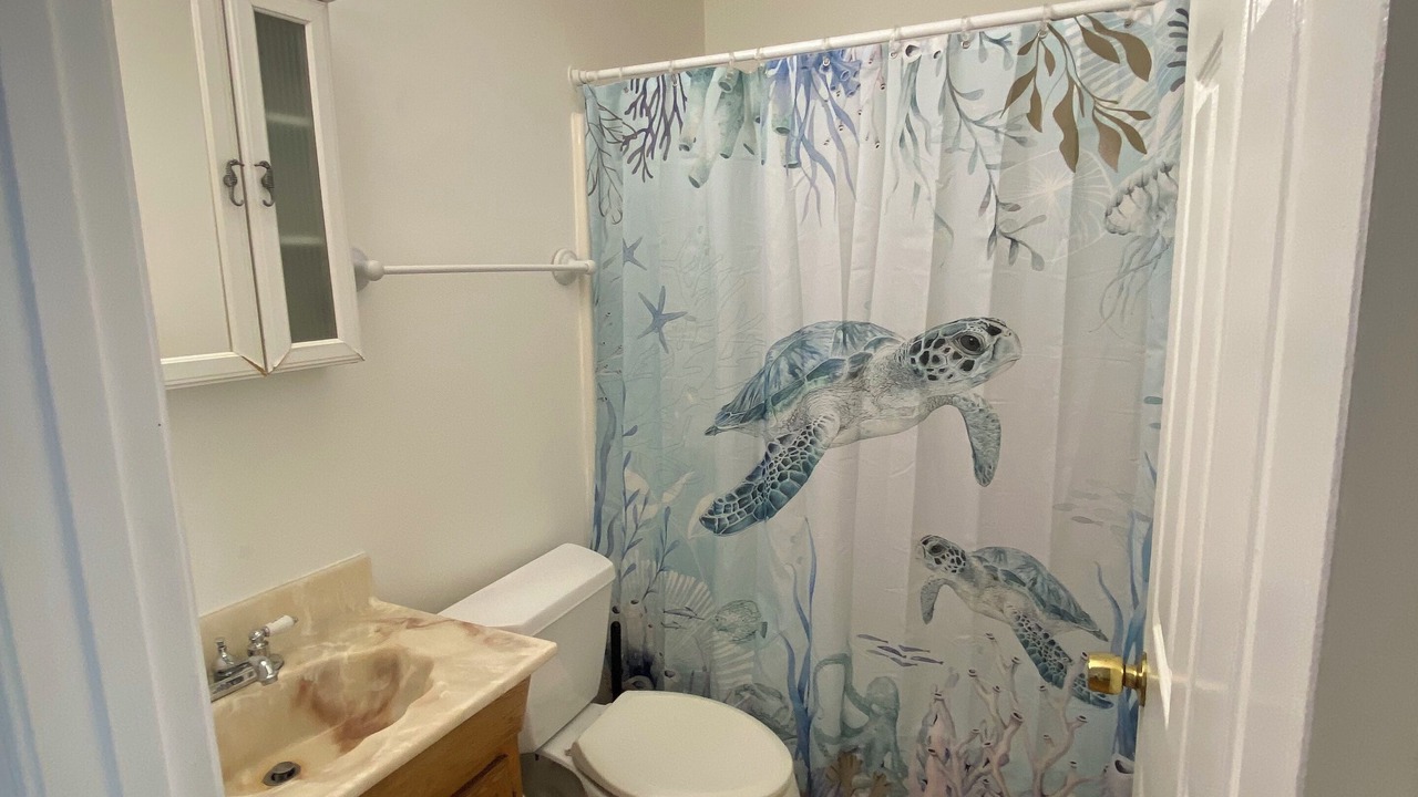 Photo of Bathroom in Willoughby Spit