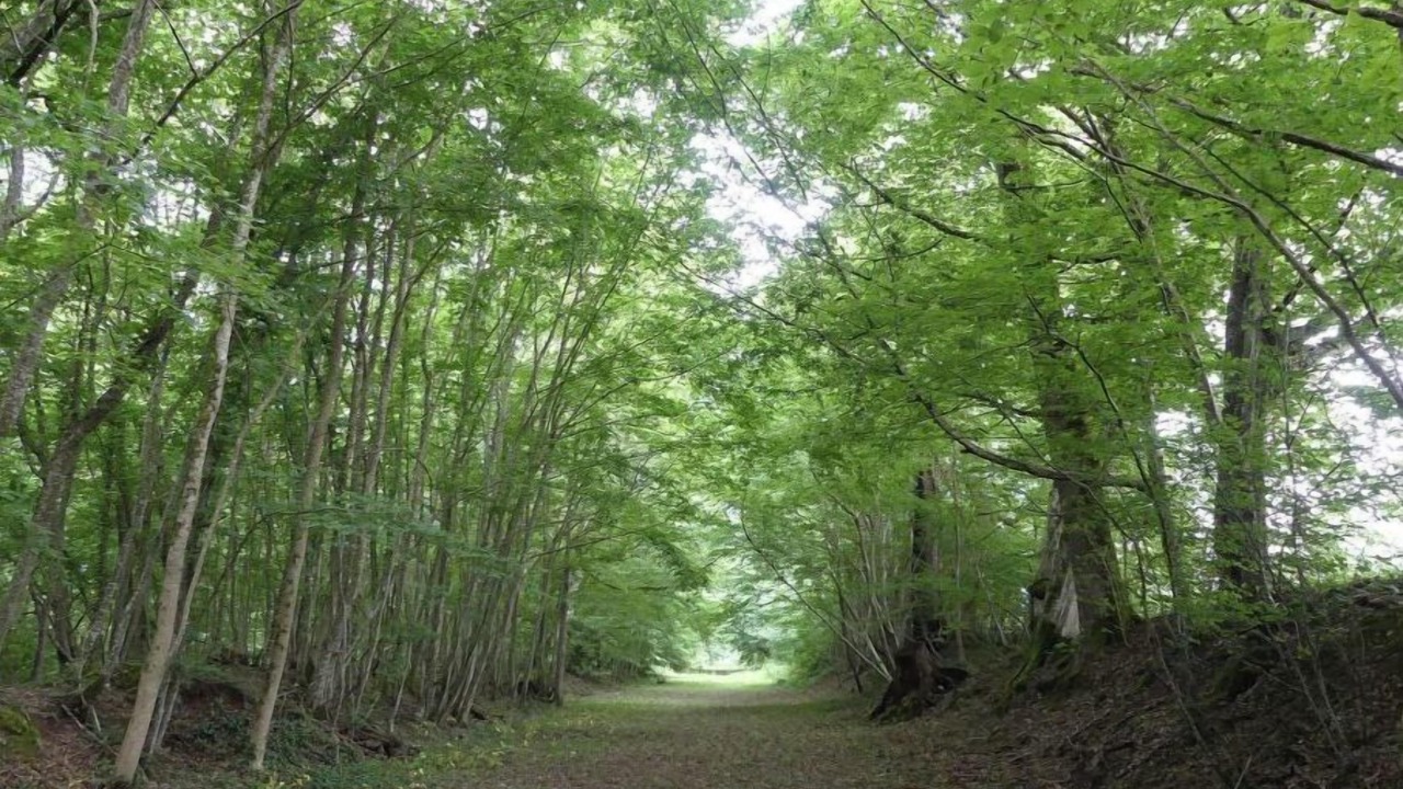 Photo of Outdoor in Chateau-l'Eveque