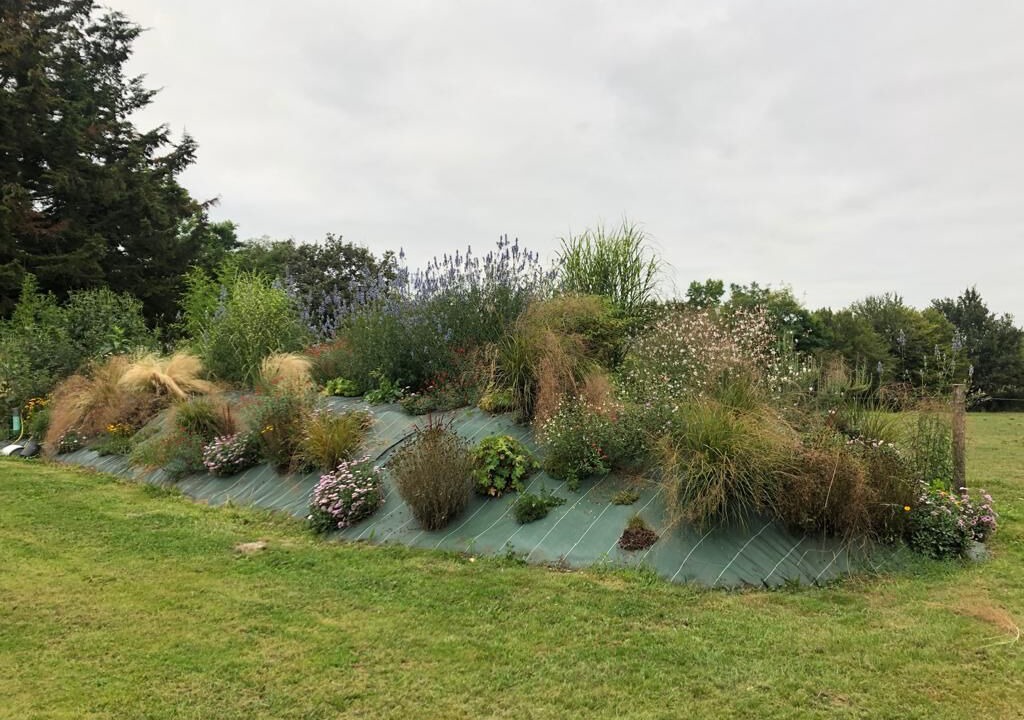 Photo of Outdoor in Saint-Martin-du-Fouilloux
