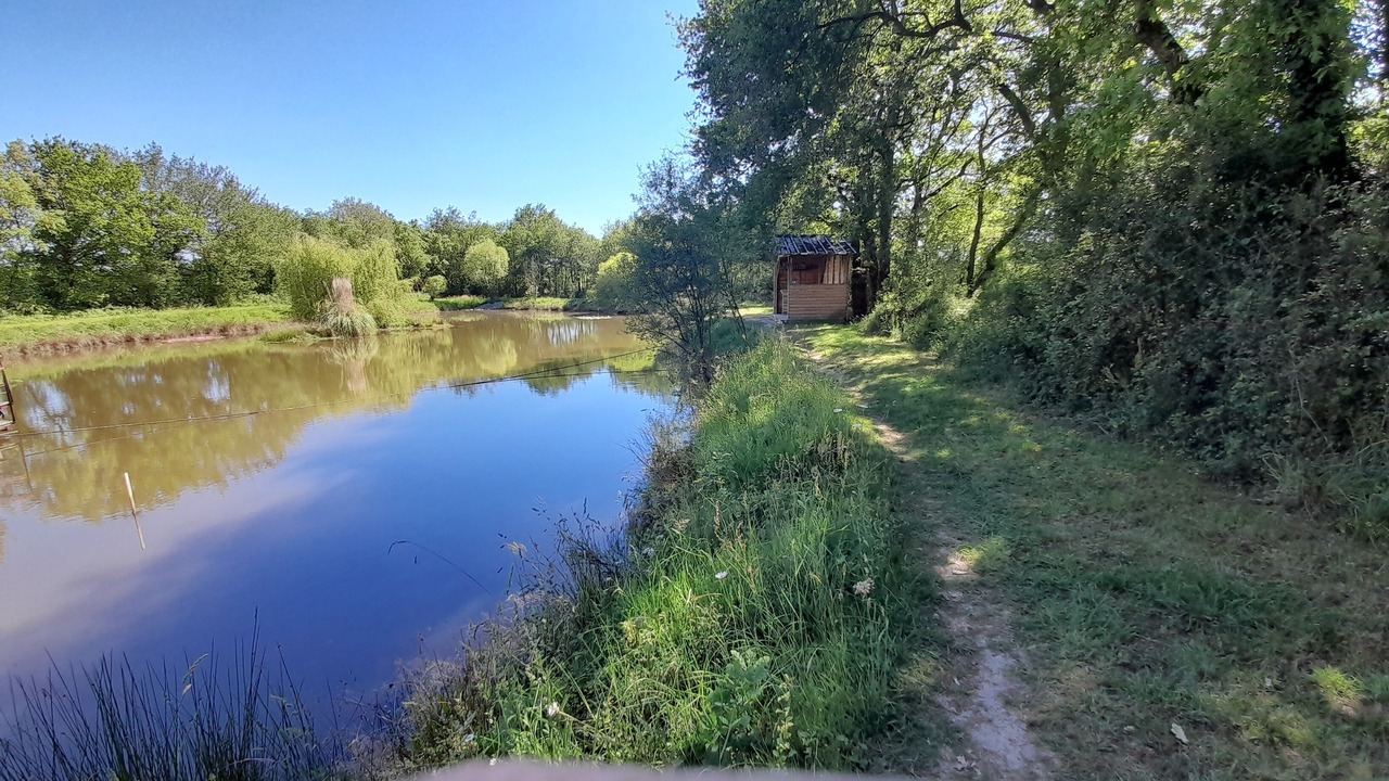 Photo of Outdoor in Saint-Martin-du-Fouilloux