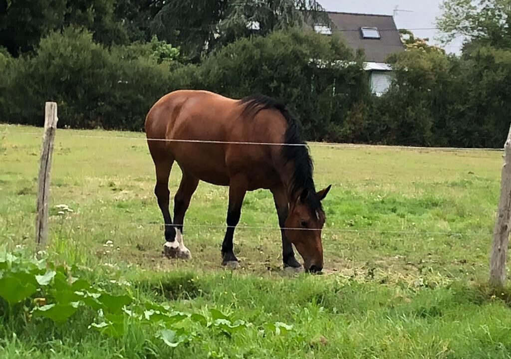 Photo of Outdoor in Saint-Martin-du-Fouilloux