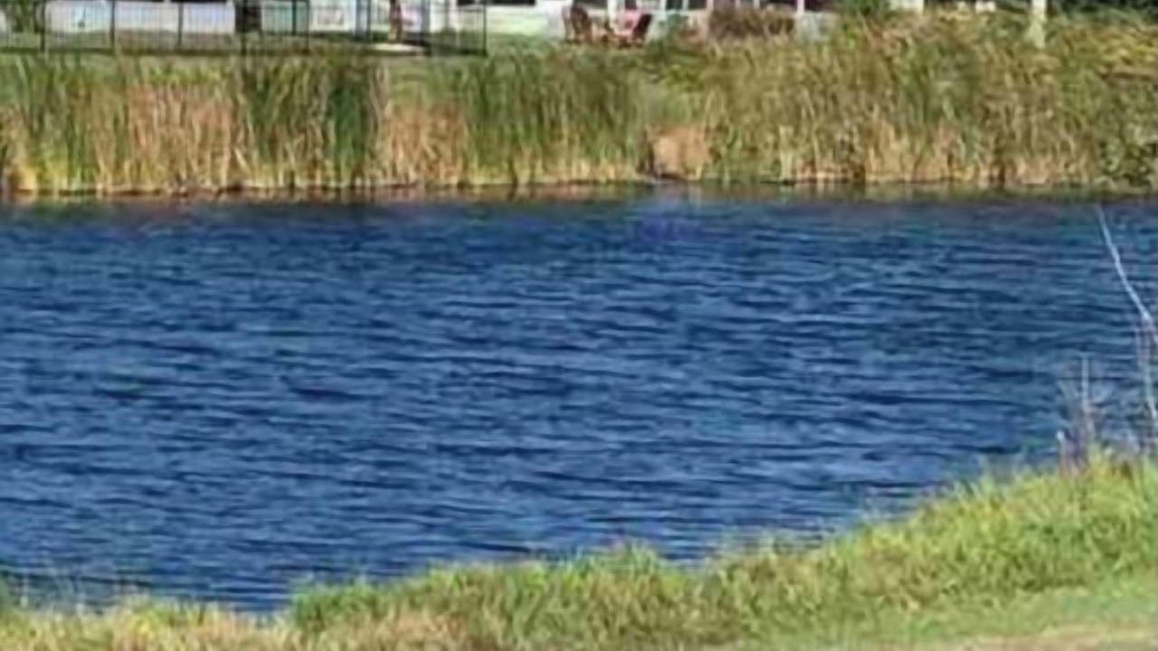 Photo of Outdoor in Pine Valley