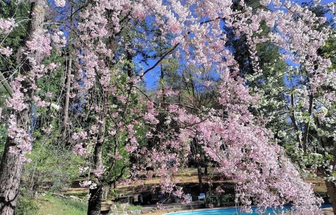 Photo of Outdoor in Cedar Ridge