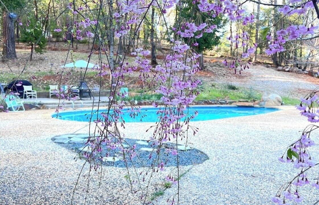 Photo of Outdoor in Cedar Ridge