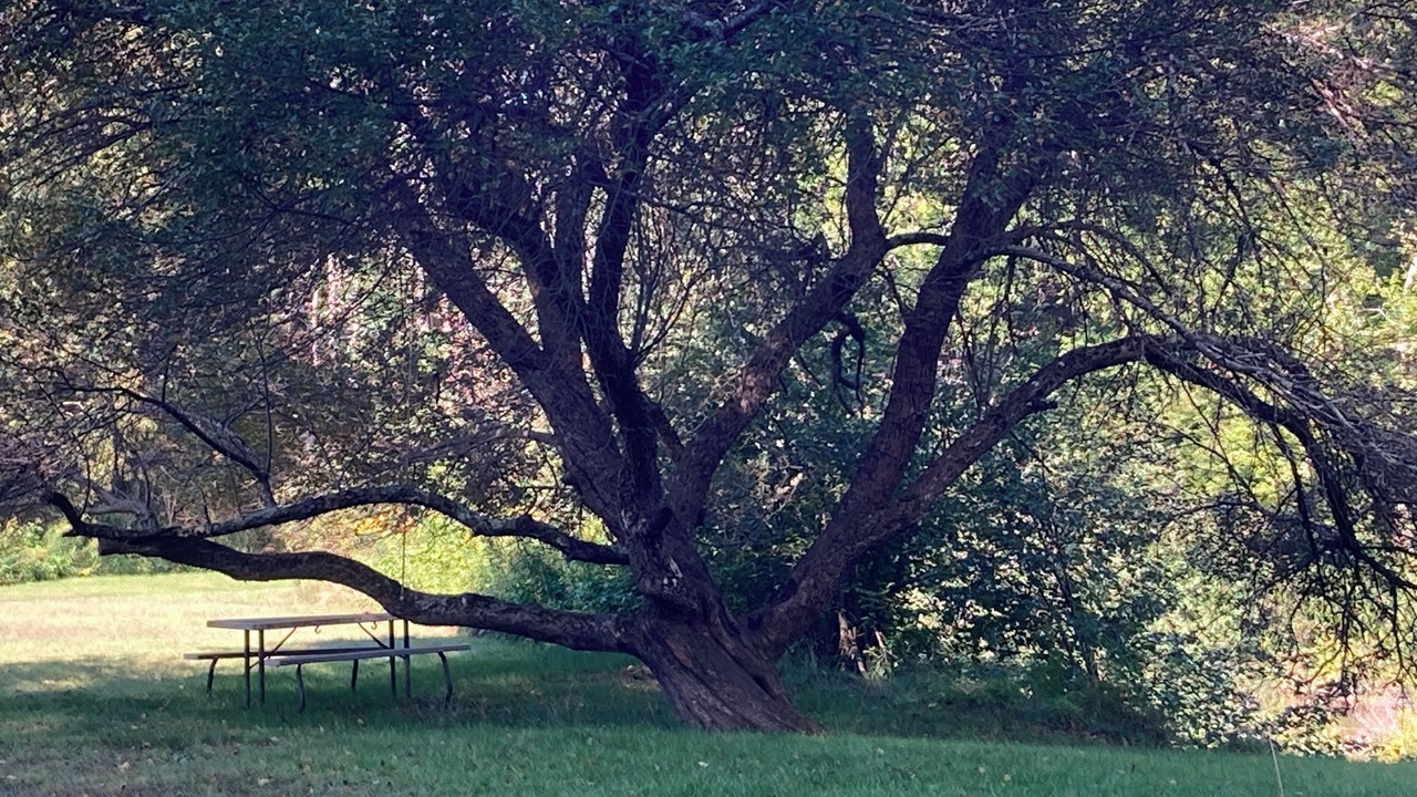 Photo of Outdoor in North Yarmouth