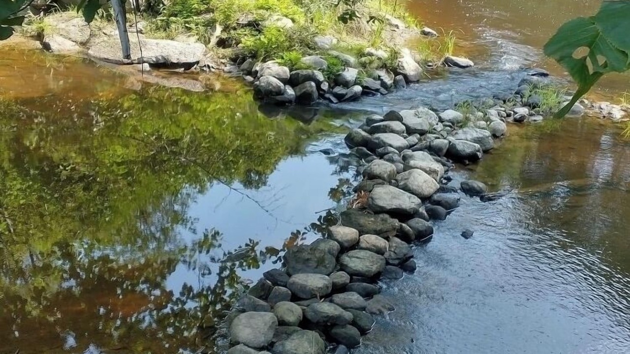 Photo of Outdoor in North Yarmouth