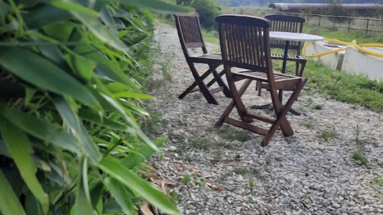 Photo of Outdoor in Mons-en-Pevele