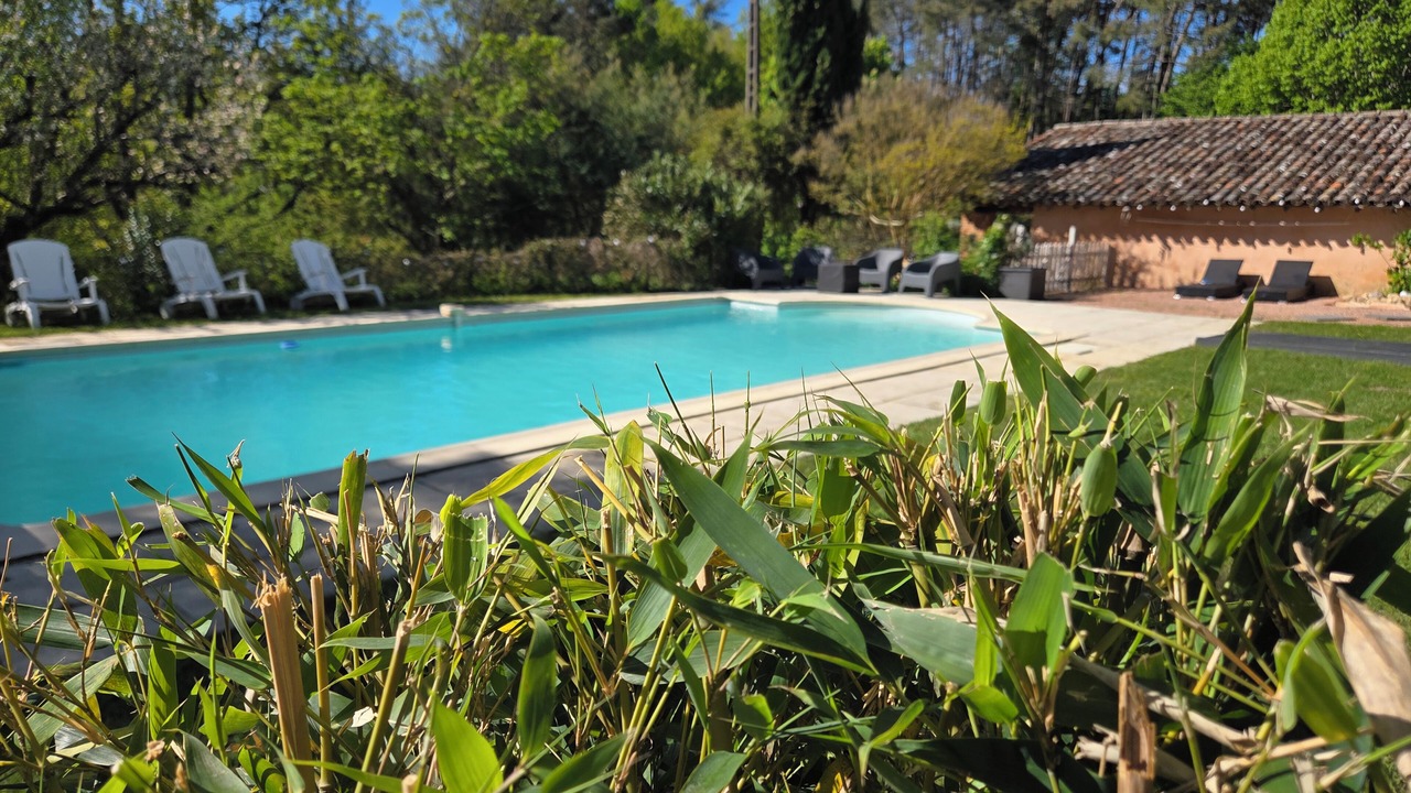 Photo of Outdoor in Lisle-sur-Tarn