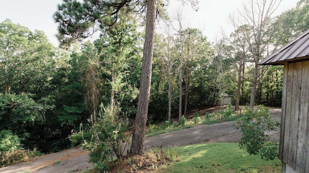 Photo of Others in Tuscaloosa