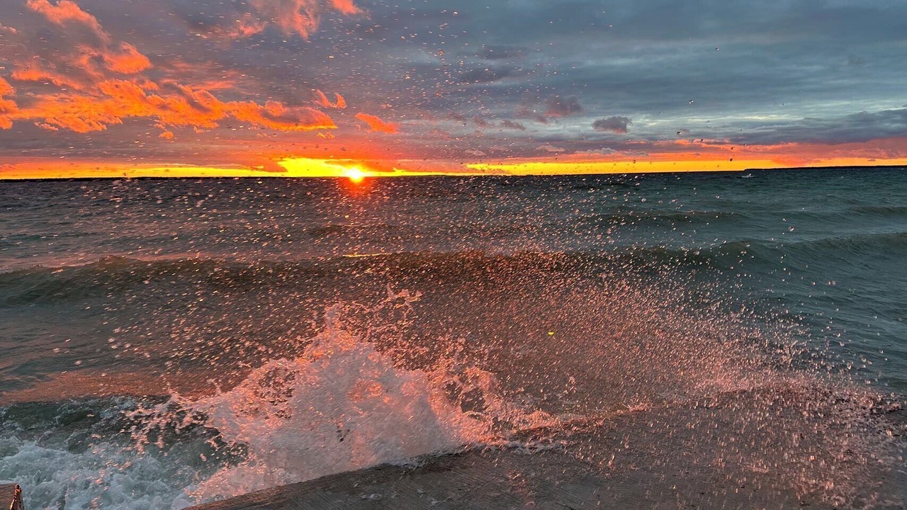 Photo of Others in Brock