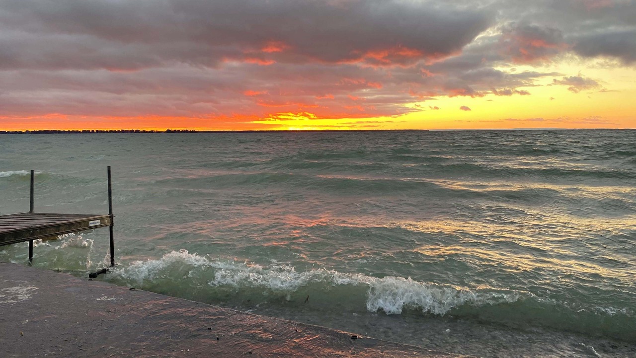 Photo of Others in Brock