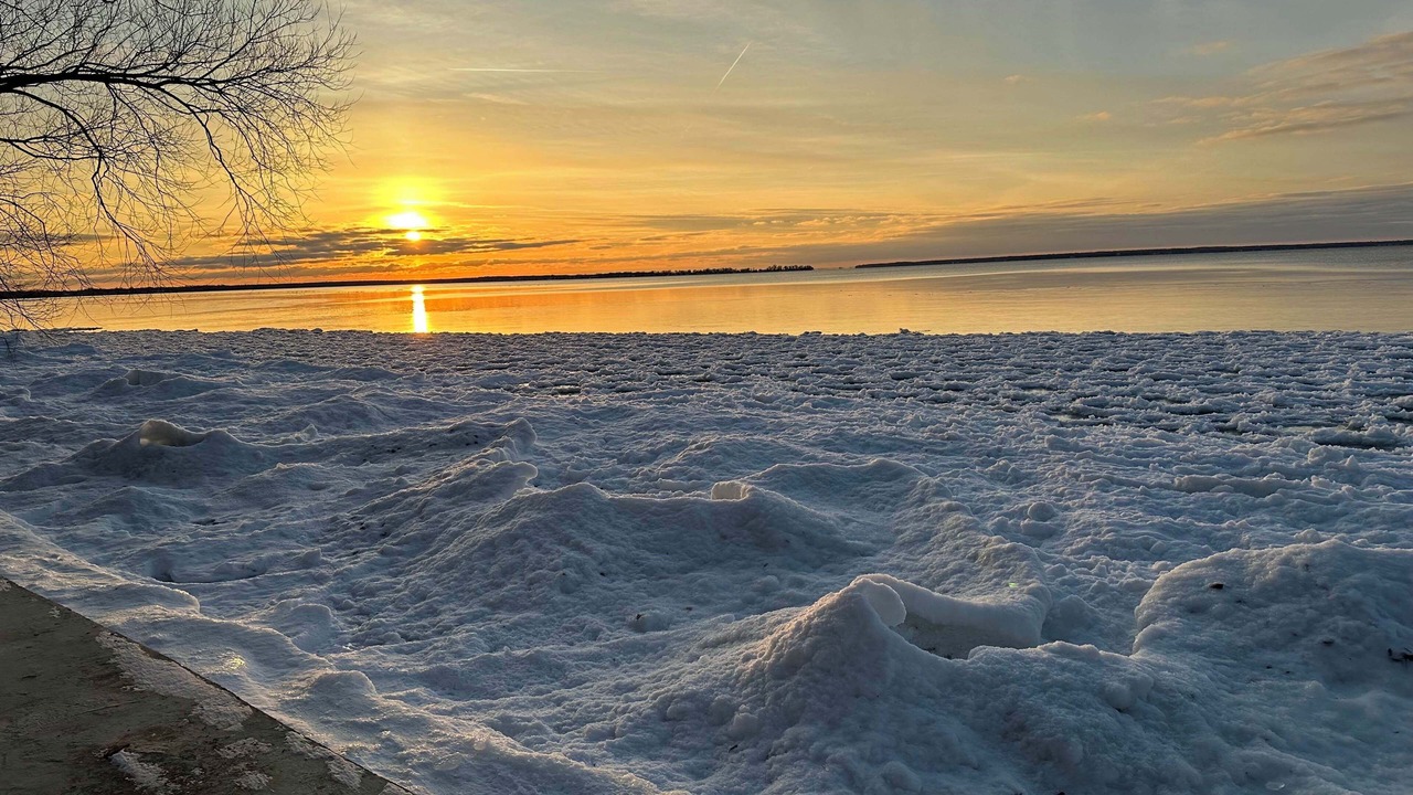 Photo of Others in Brock