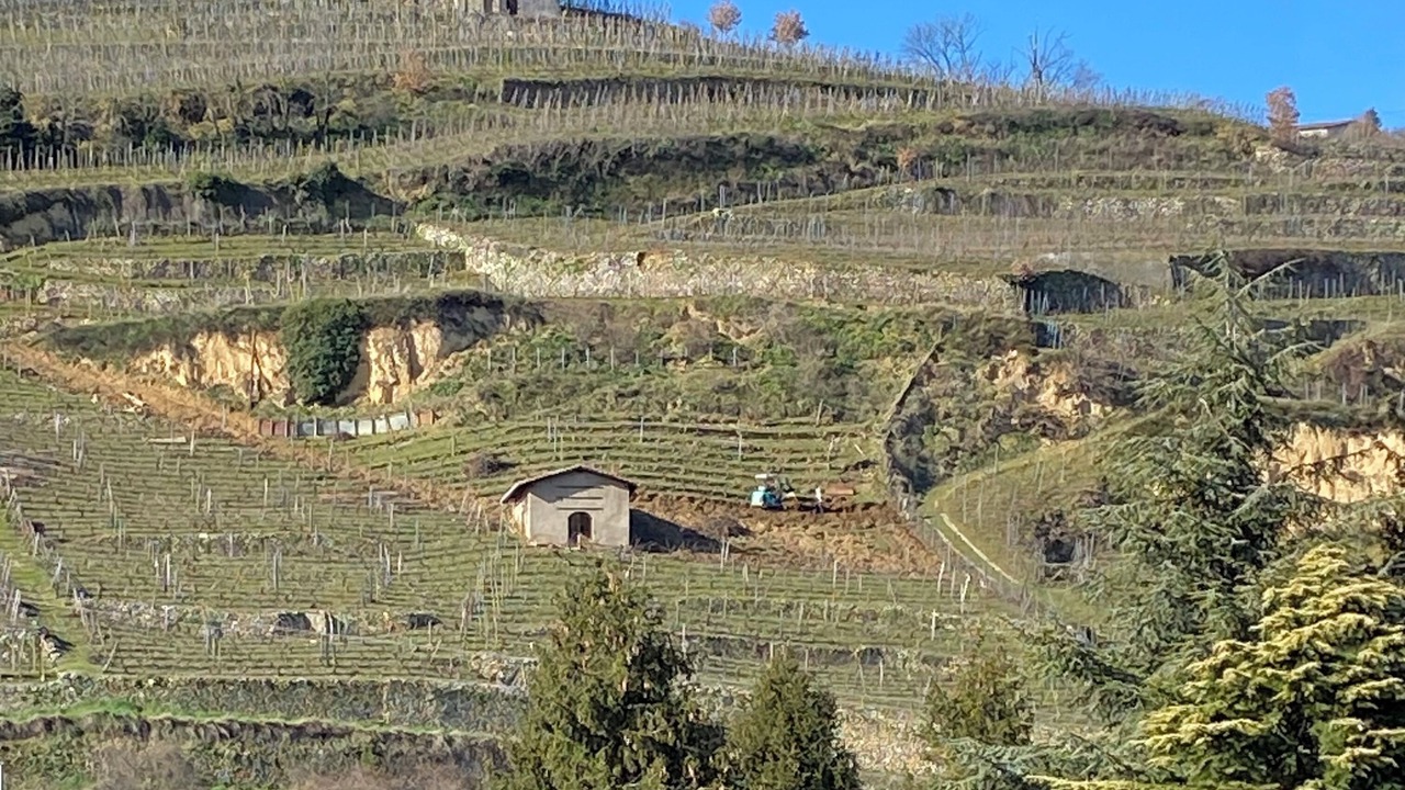 Photo of Others in Condrieu