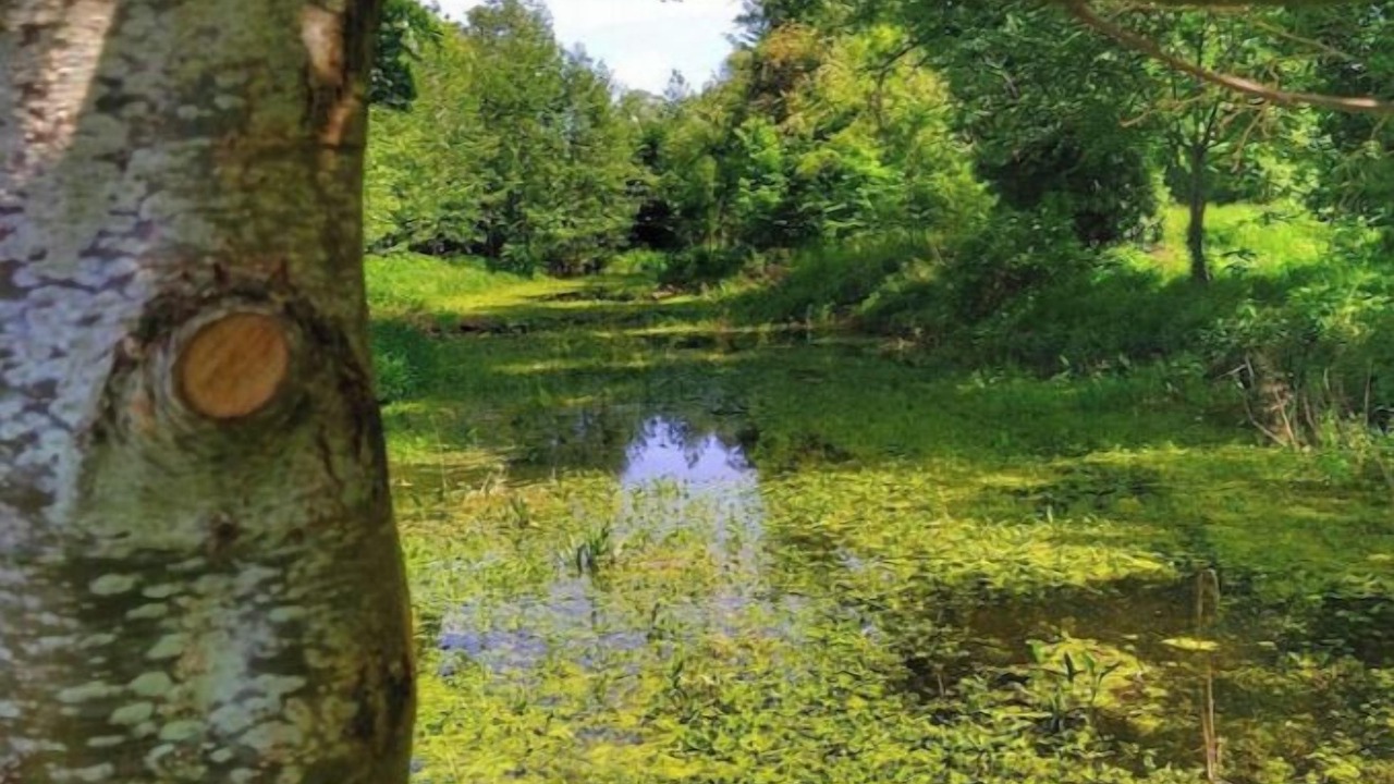 Photo of Others in Billy-Berclau