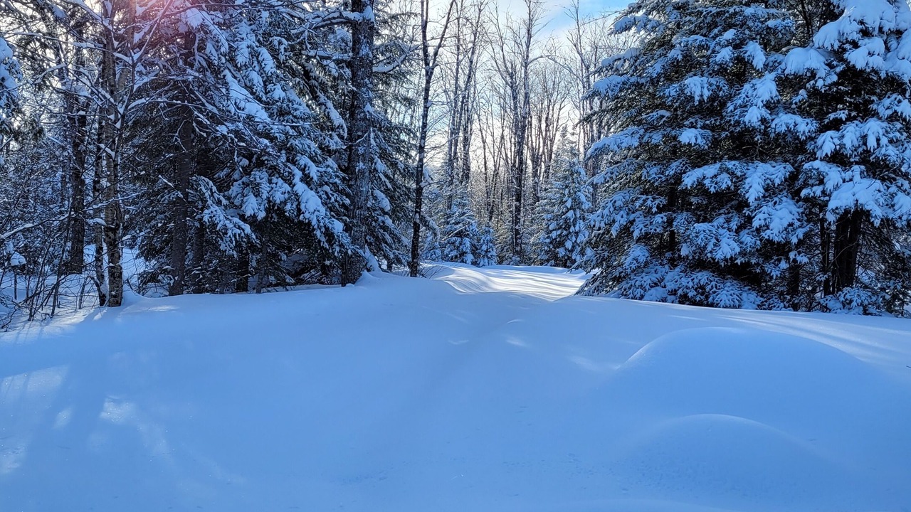 Photo of Others in Notre-Dame-Des-Bois