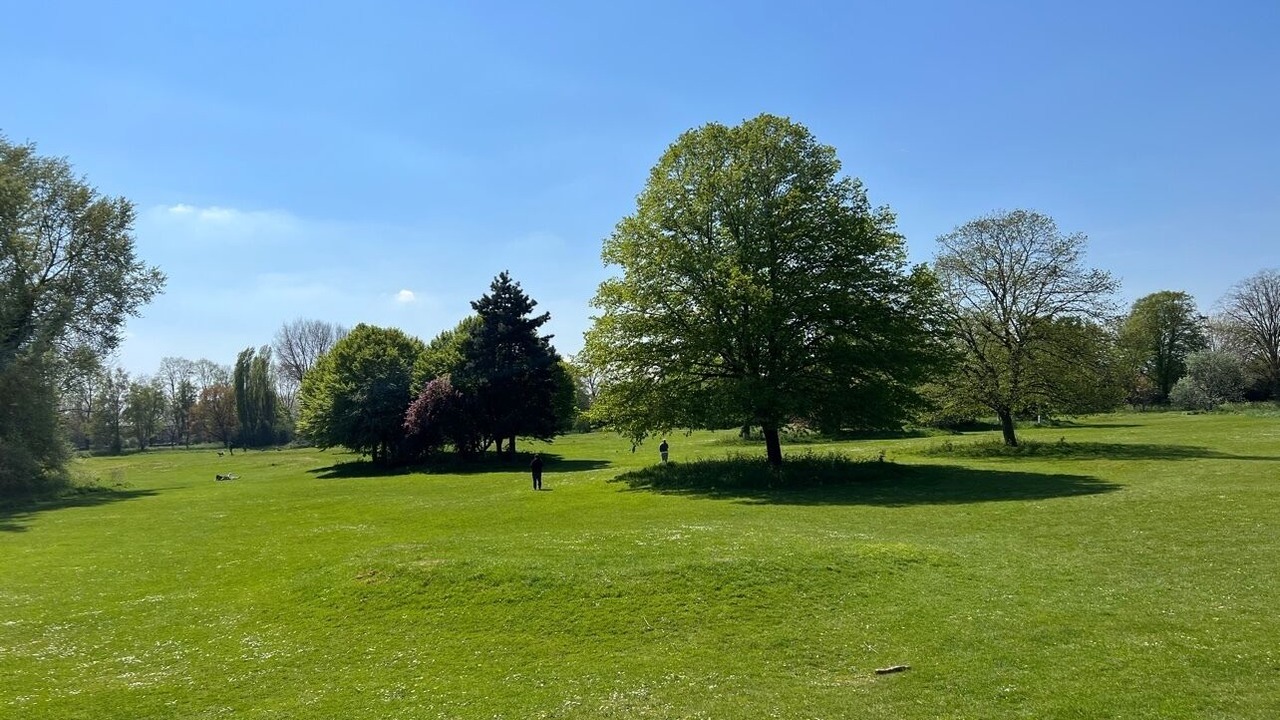 Photo of Others in Lower Edmonton