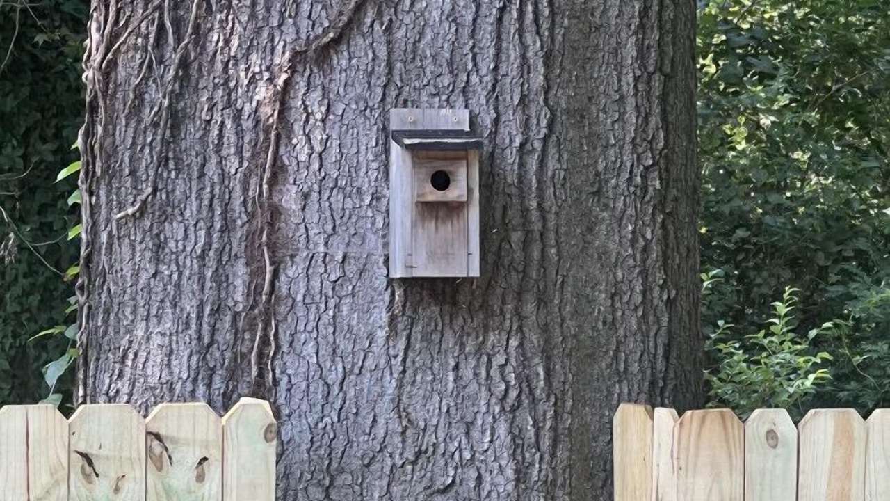 Photo of Outdoor in Green Valley