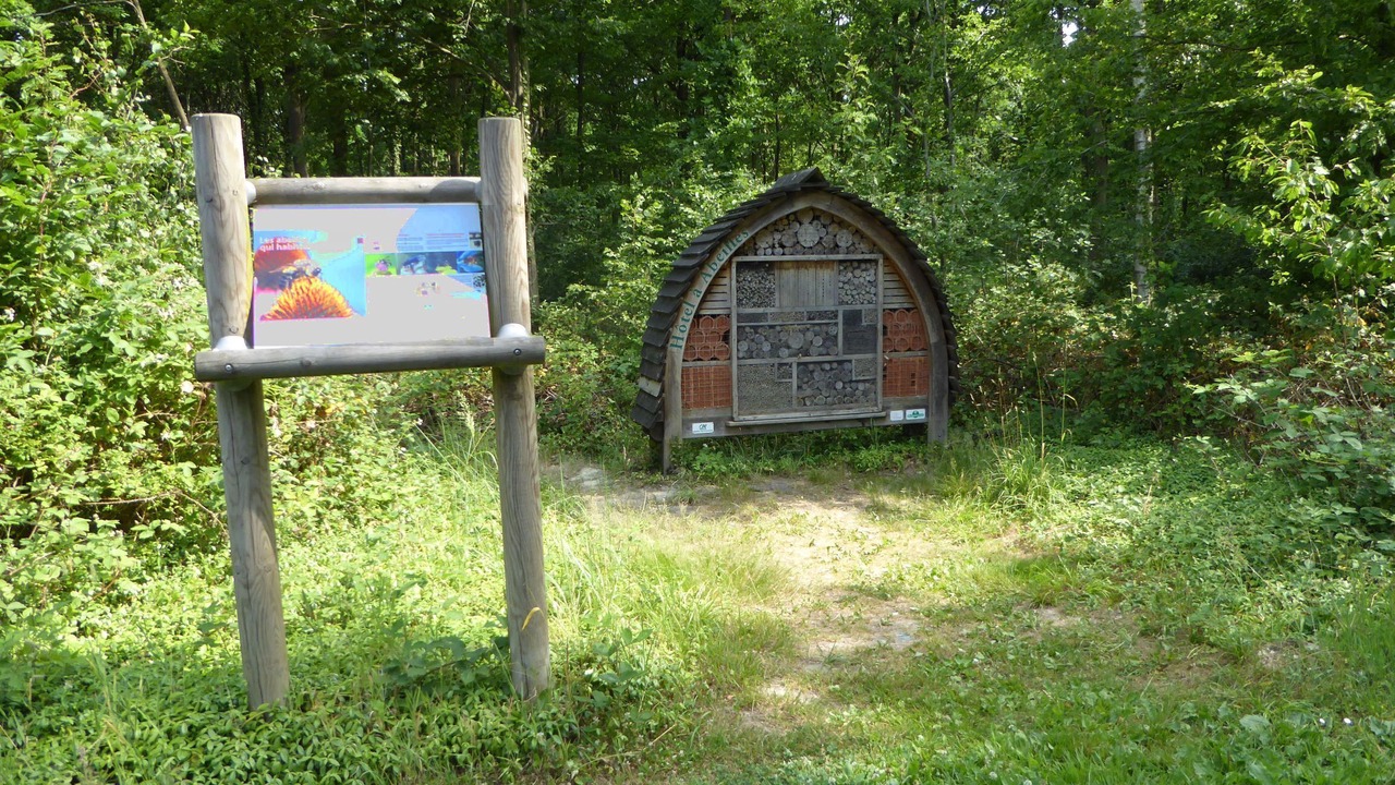 Photo of Outdoor in Phalempin