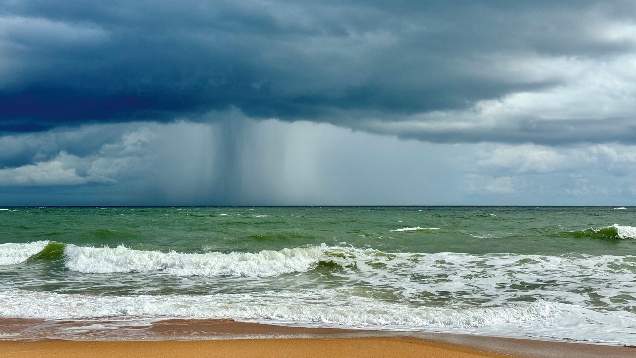 Photo of Others in Rivocean