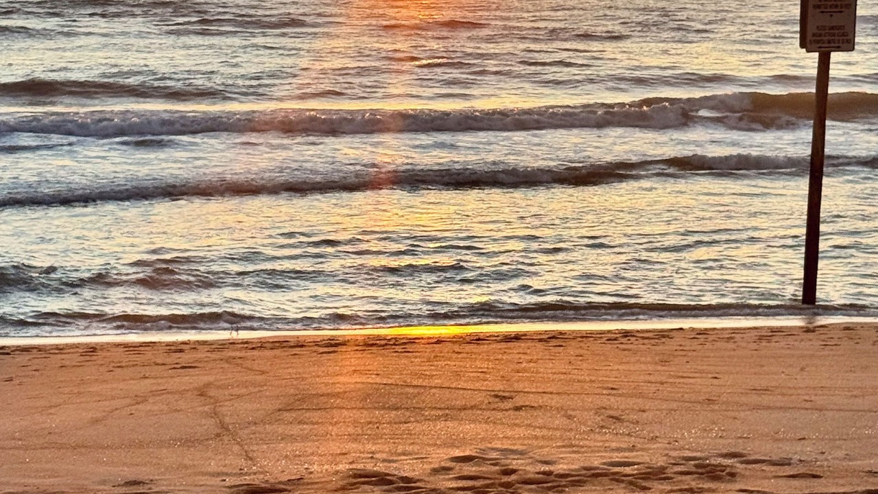 Photo of Others in Rivocean