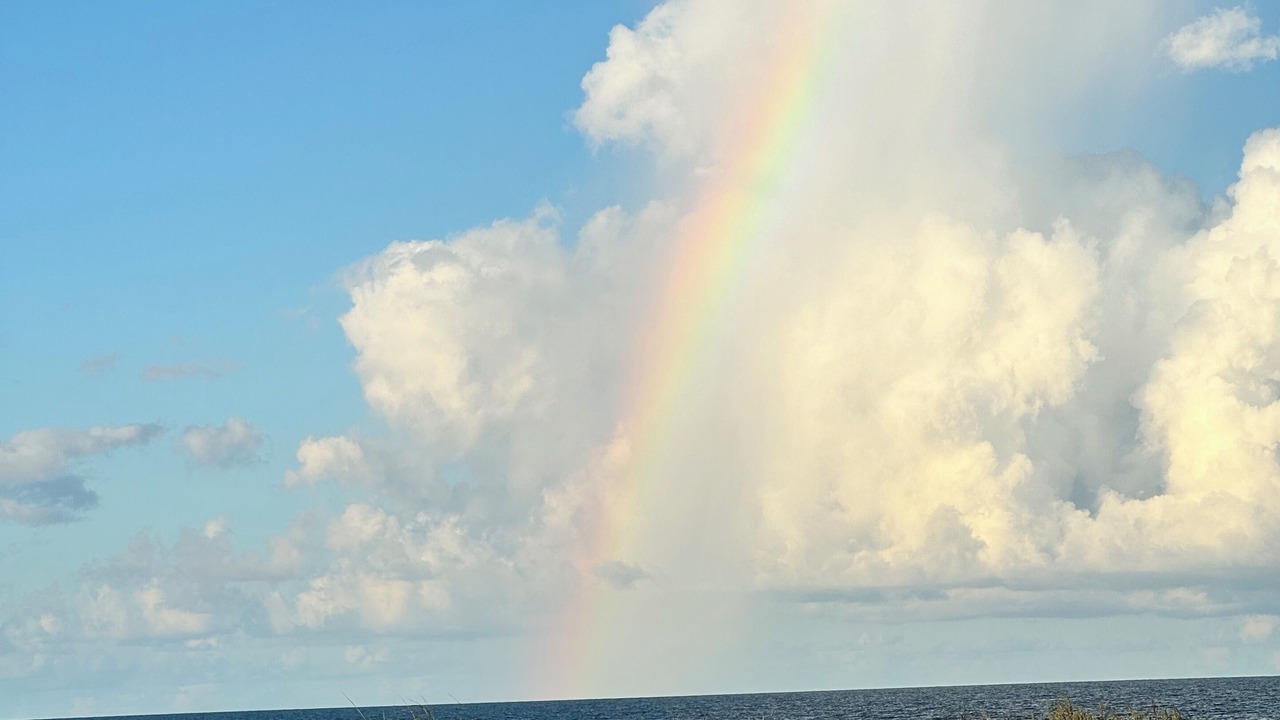 Photo of Others in Rivocean