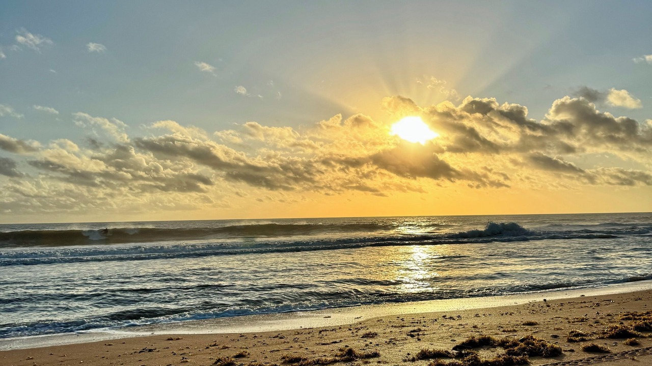 Photo of Others in Rivocean