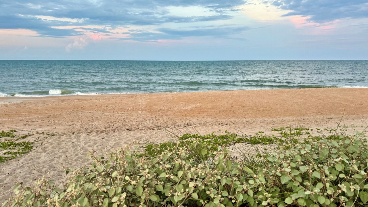 Photo of Others in Rivocean