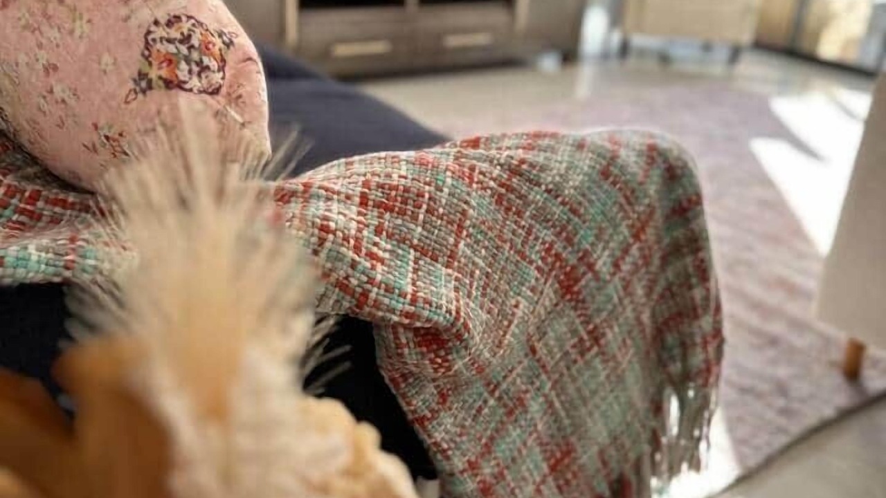 Photo of Others in Melton South