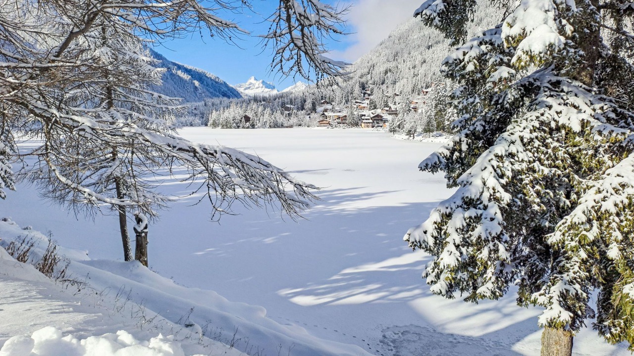 Photo of Others in Champex-Lac