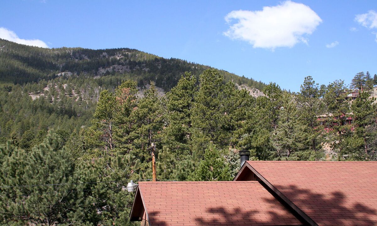 Photo of Others in Estes Park