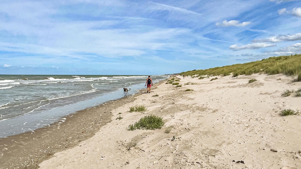Photo of Others in Bray-Dunes