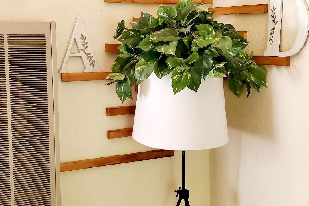 Photo of Others in Arden Park Vista