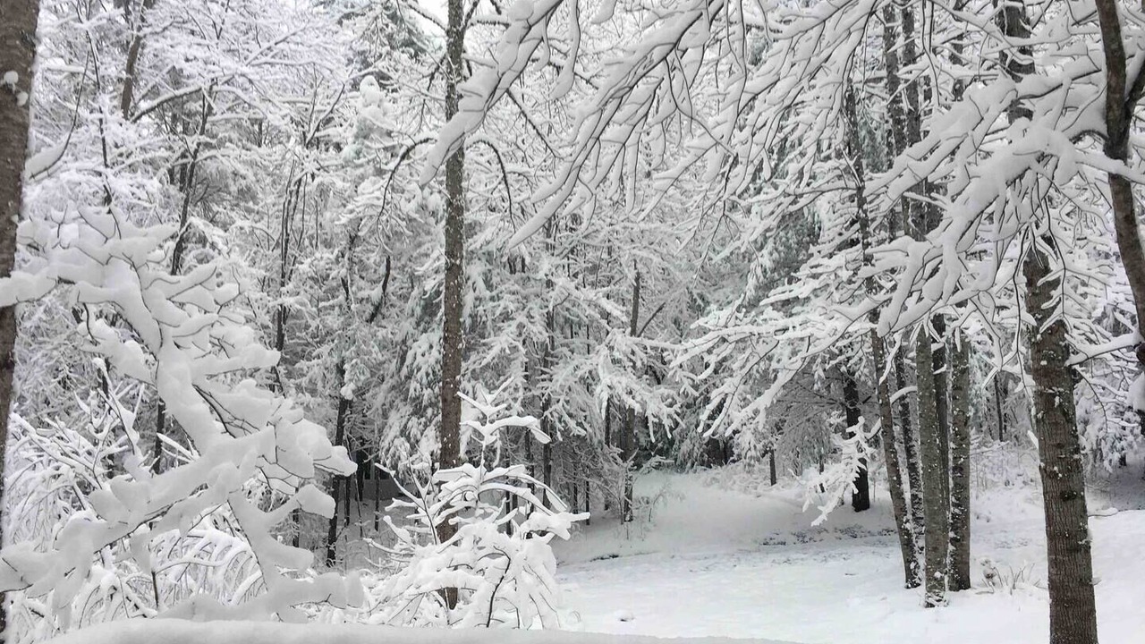 Photo of Outdoor in Del Rio