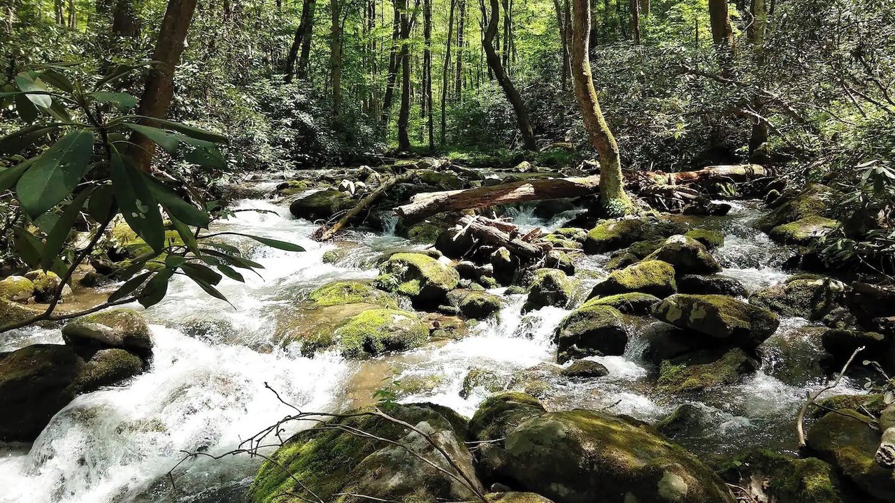 Photo of Outdoor in Del Rio