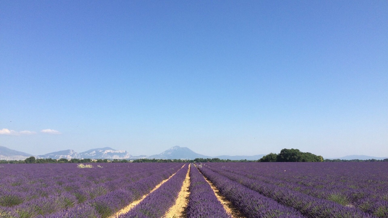 Photo of Others in Greoux-les-Bains