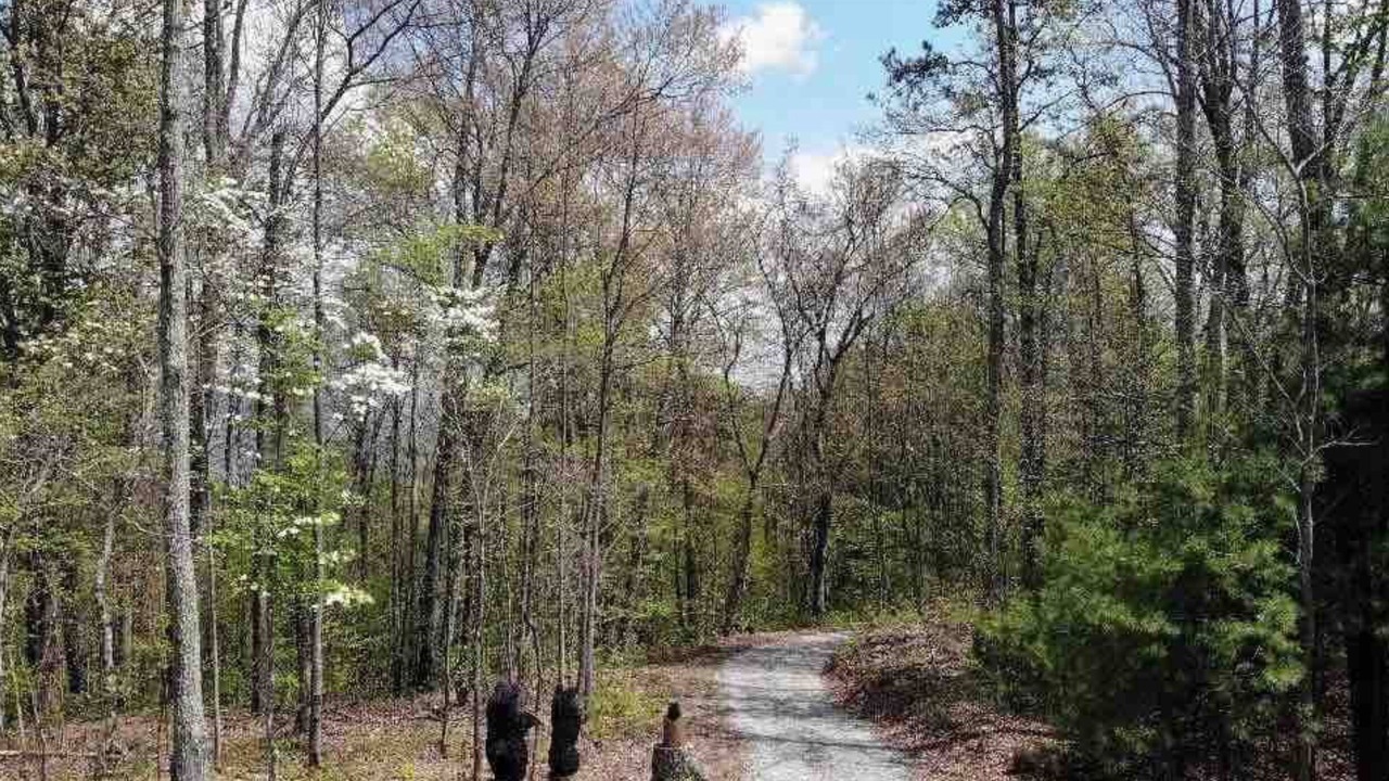 Photo of Outdoor in Del Rio