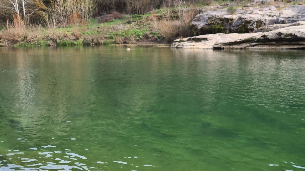 Photo of Others in Castelnau-Valence