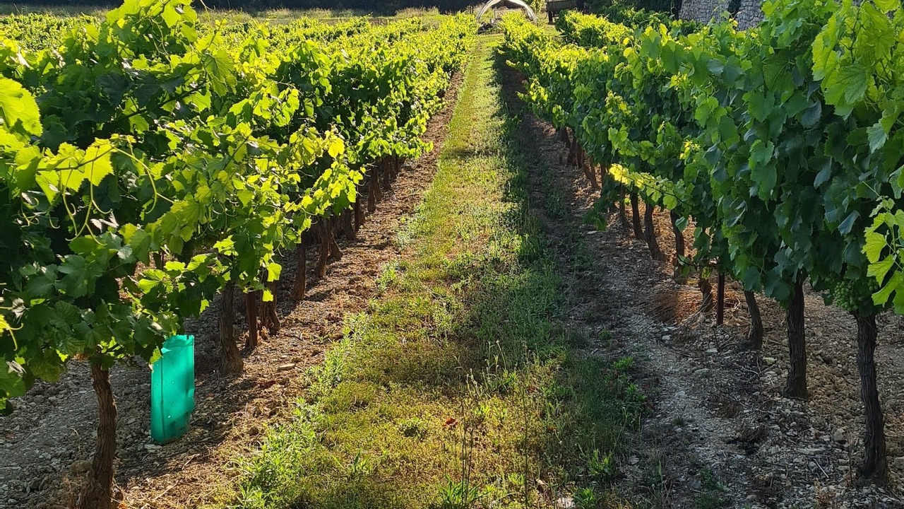 Photo of Others in Castelnau-Valence