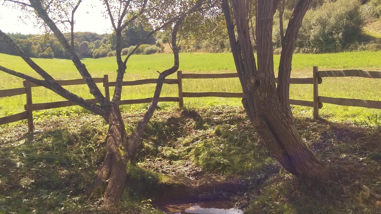 Photo of Outdoor in Saint-Laurent-des-Batons