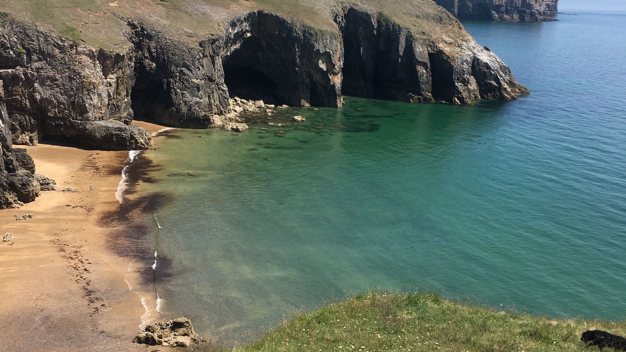 Photo of Others in Milford Haven