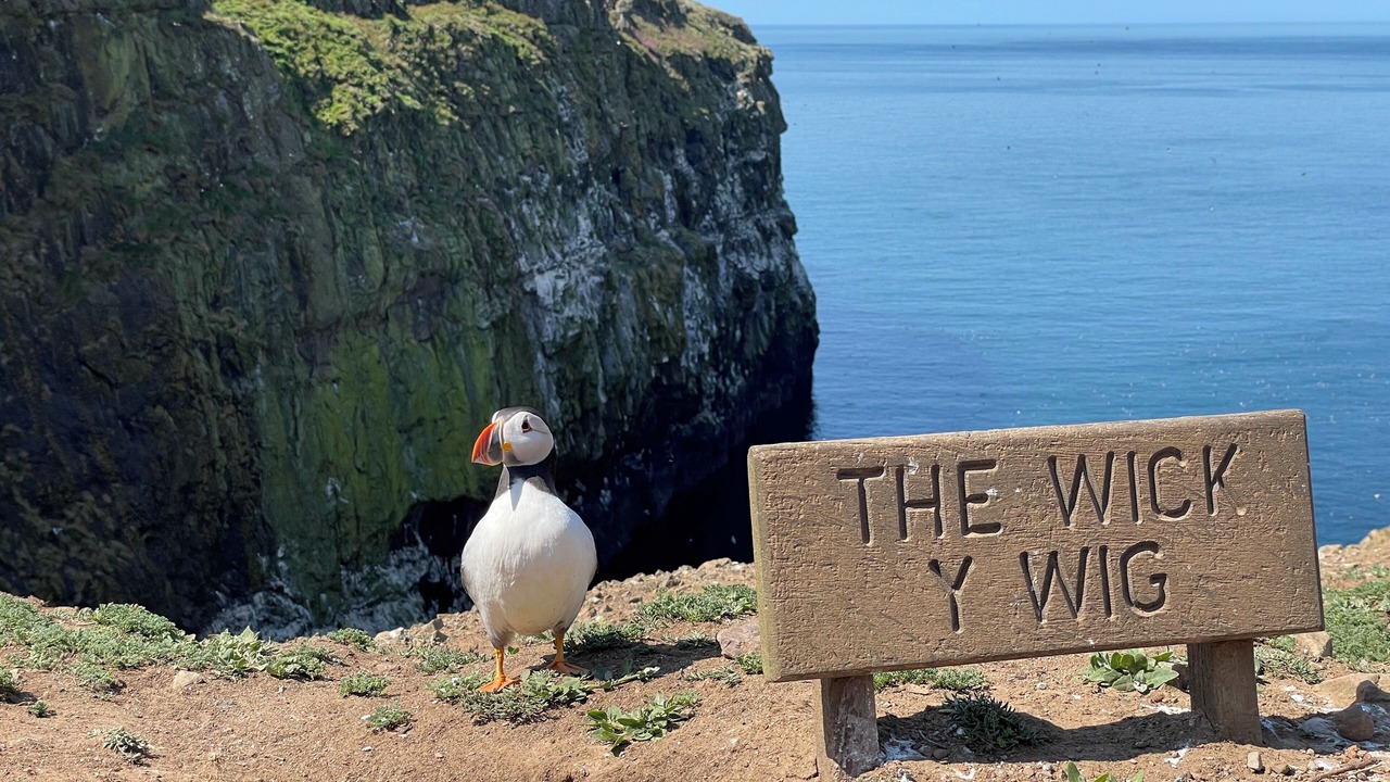 Photo of Outdoor in Milford Haven