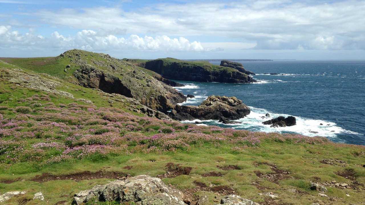 Photo of Others in Milford Haven