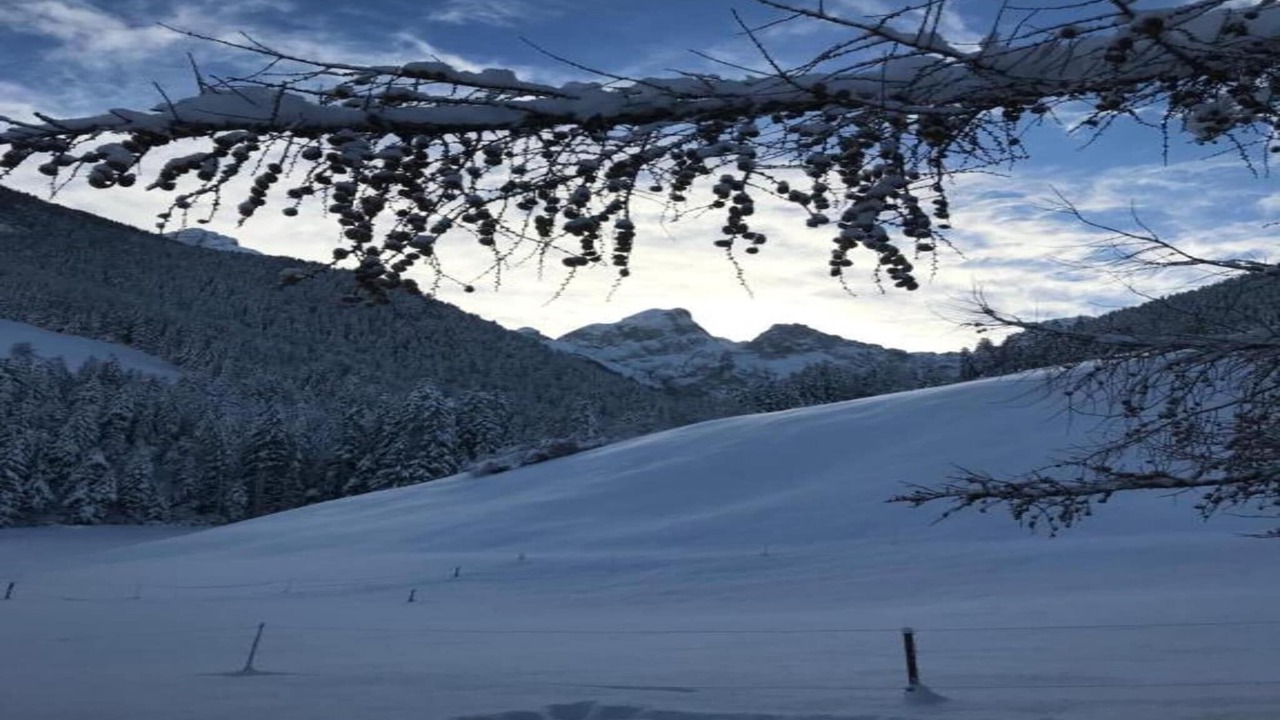 Photo of Others in Rougemont