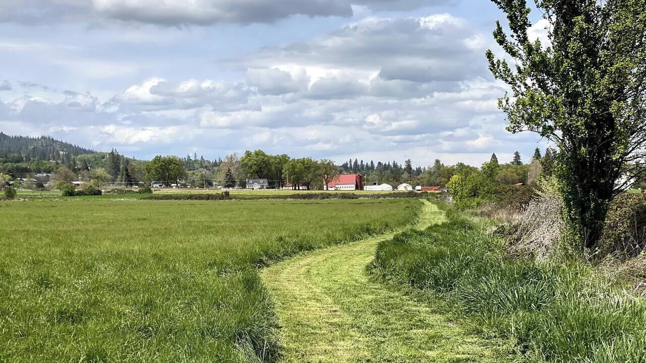 Photo of Others in Medford